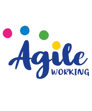 Agile-Graphic-300porttran
