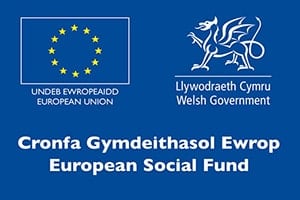 Gronfa-Gymdeithasol-Ewrop-300