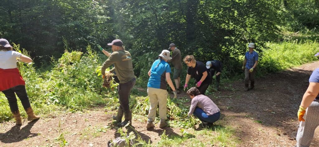 Environment-working-group
